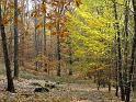 2011-11-05, Hohnstein (20)